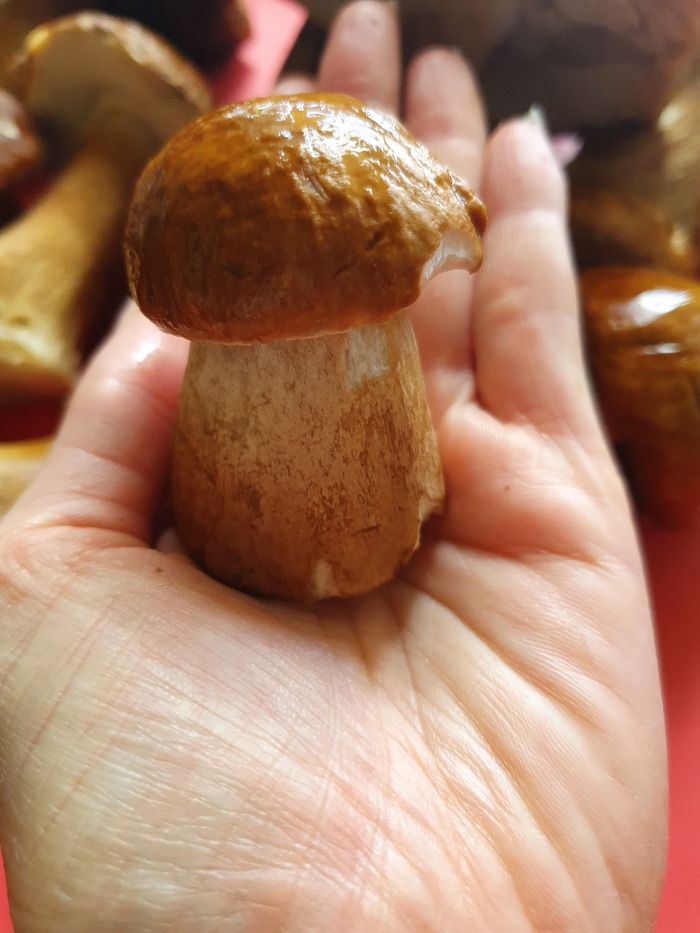 Немного летнего вайба