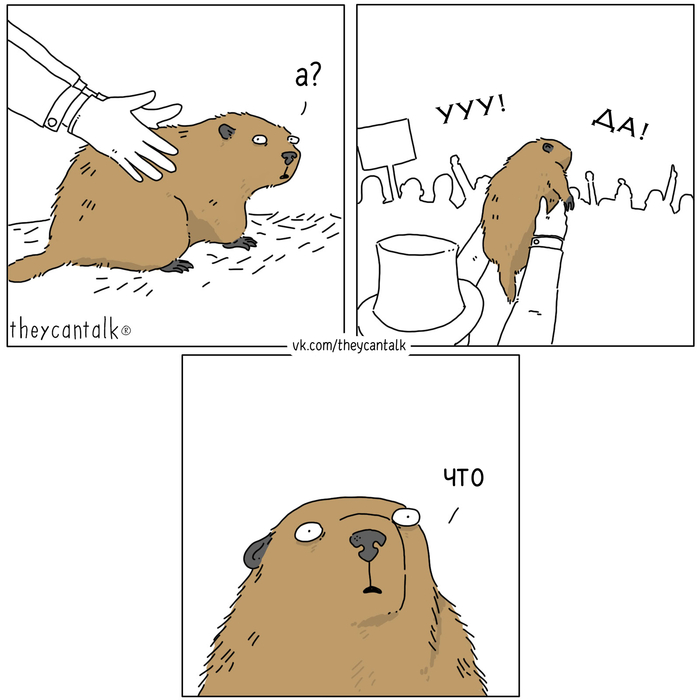   Theycantalk,  , ,  , 