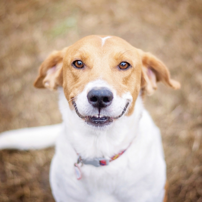 Знаешь, откуда у меня эти шрамы?