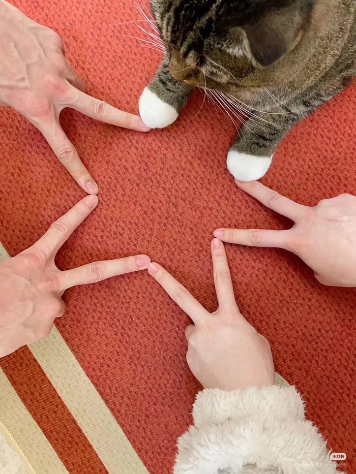   ! , , , 