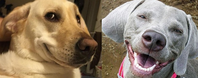 Для закрепления: слева — напряженная улыбка, справа — терморегуляционная.