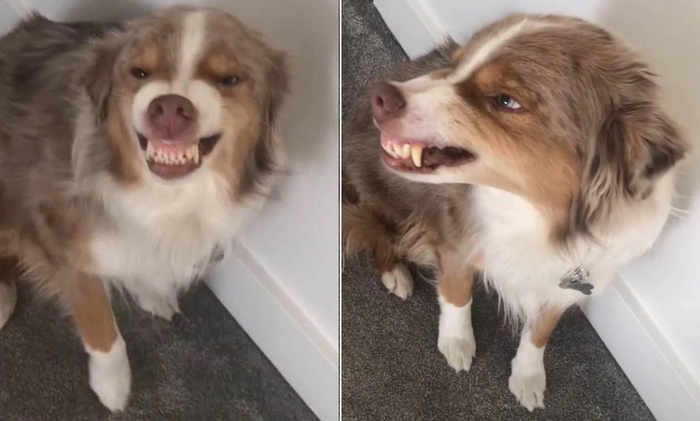 Когда мама заставила тебя улыбаться на общем фото.