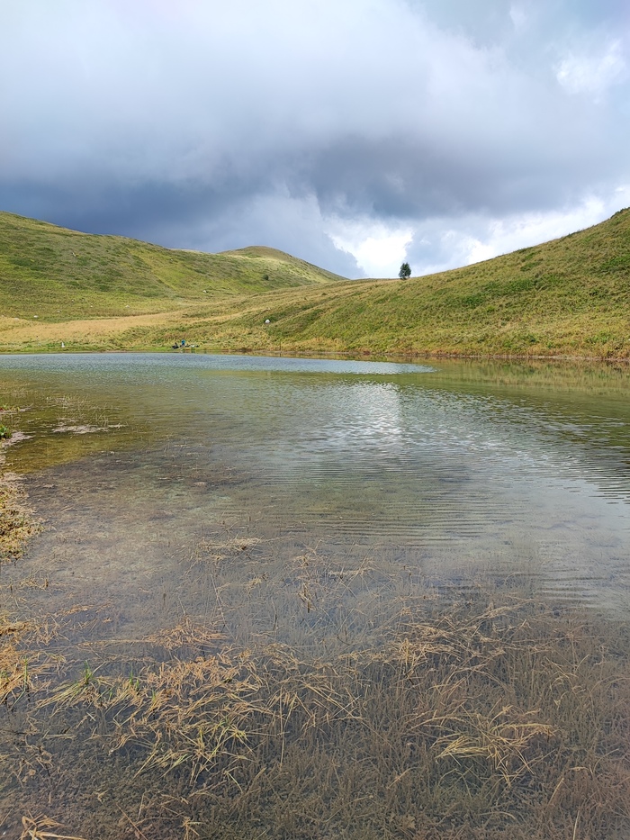   , ,         .    1 .    ,     ,   .    .    . 