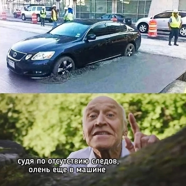 Почти в мире животных