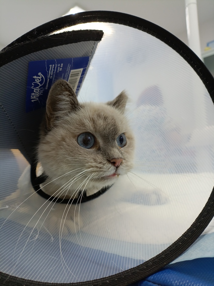 ������� �� �������!