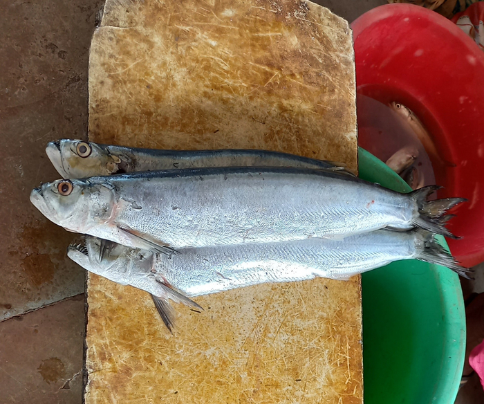  ,     .   ,  ,   :  1.5 .