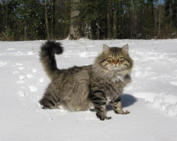 Сразу видно — первый парень на деревне!