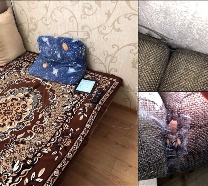 ������ ��� ��� ������� � �� ���