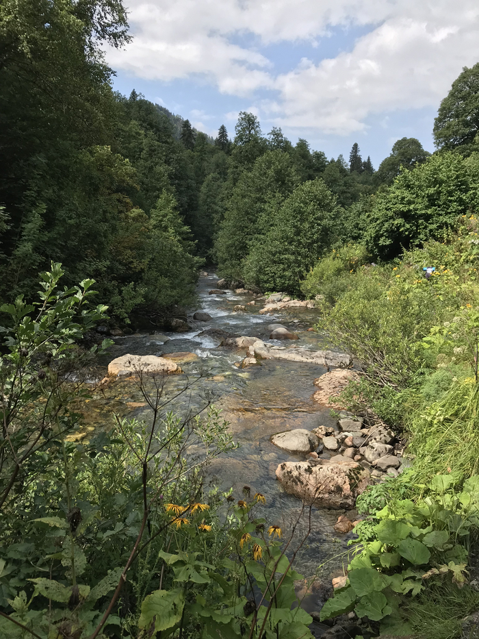Мзымта, начало)