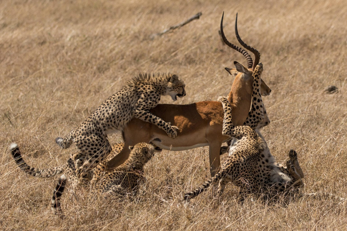             45 .         ,   -  .