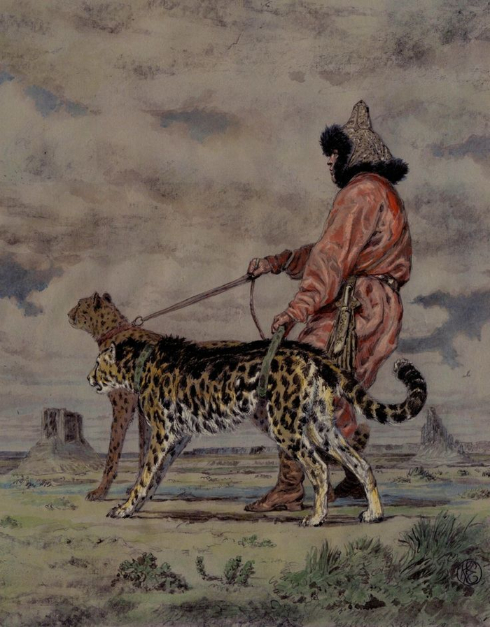  , ,        19 .           20 !