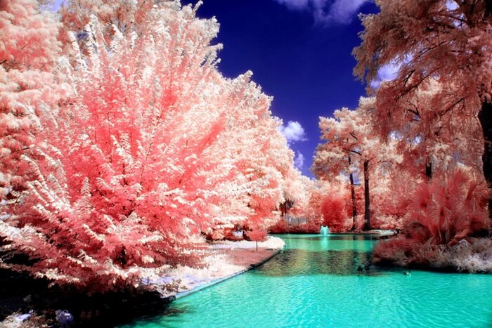 Красота природы