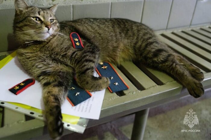 И жизнь хороша, и жить хорошо.