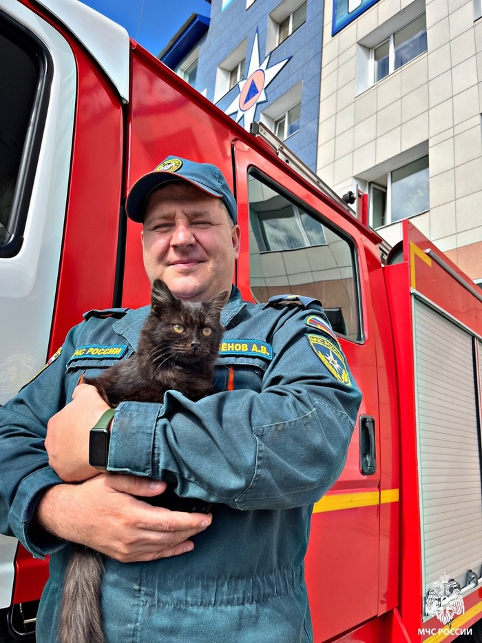 Коты везде в почете!