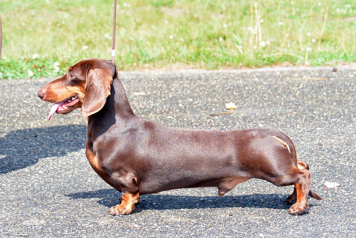 А как долго вы простоите в планке?