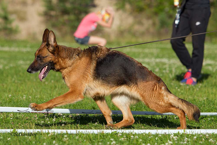 А ну, спину выпрями!