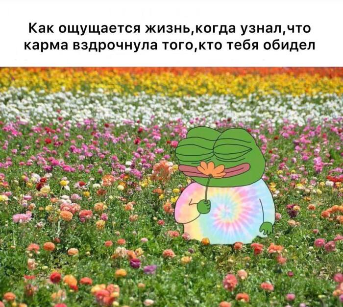 , 