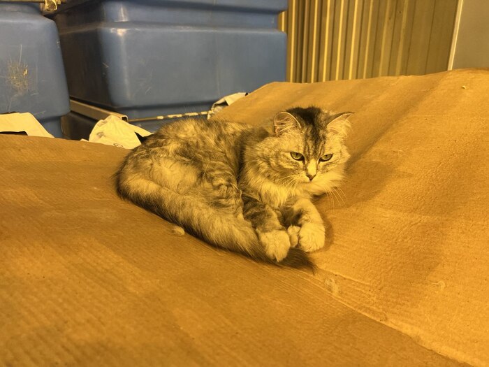    ,    .       .    ,   -.