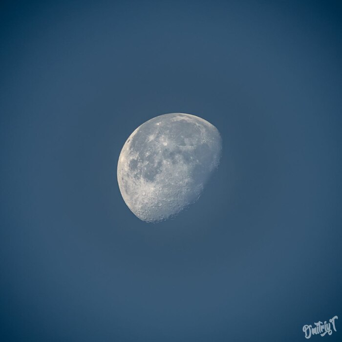  :    , , , Nikkor, Nikon, , , 