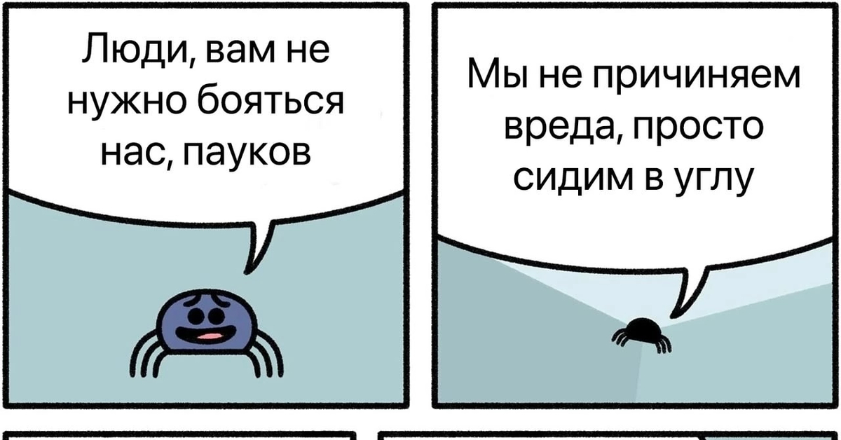 Паук