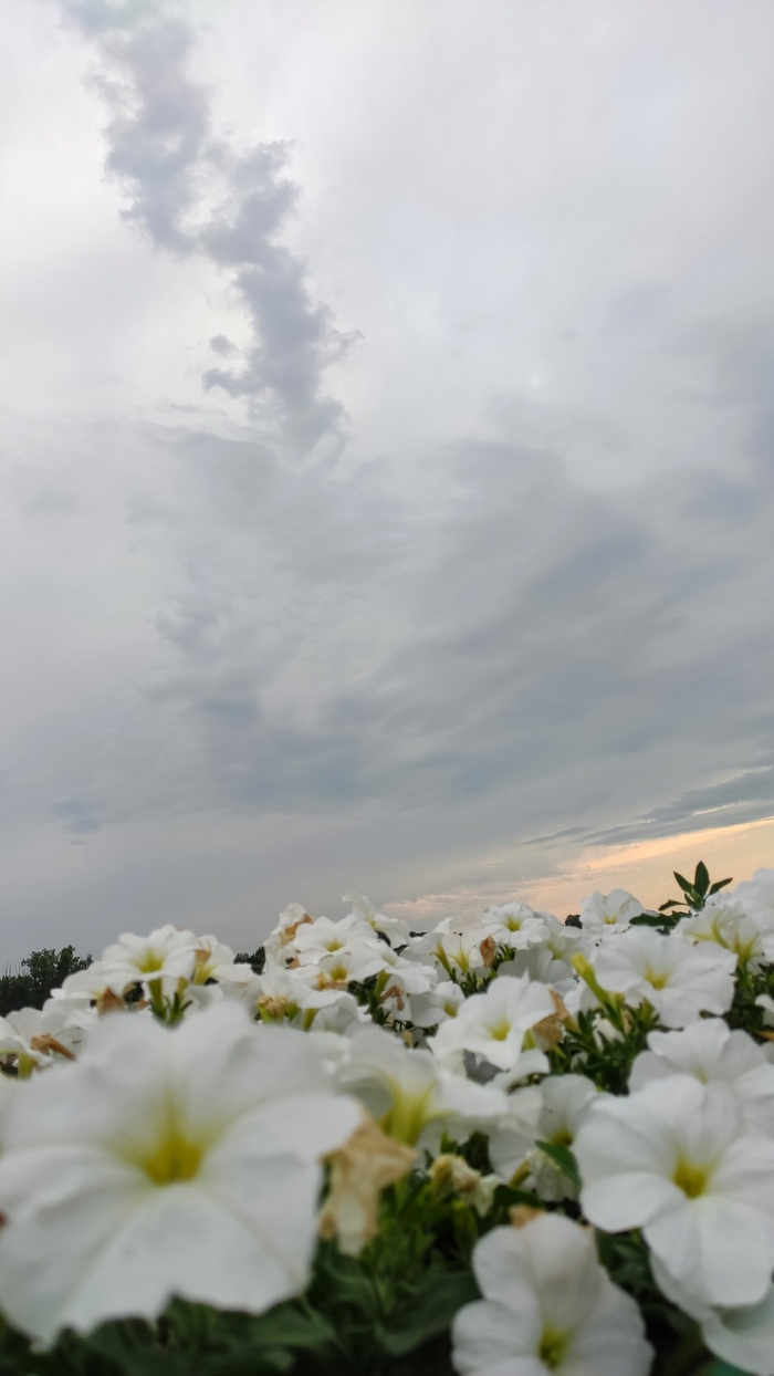 &#x1F49C;&#x1F49C;&#x1F49C;