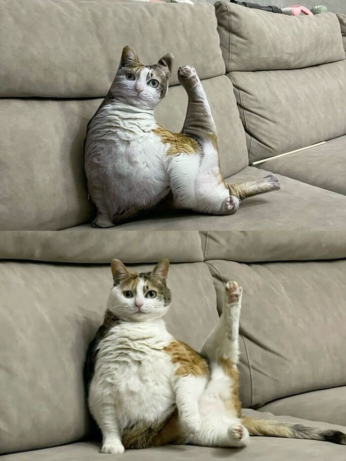 Реклама: ООО "АЛИБАБА.КОМ (РУ)" ИНН 7703380158