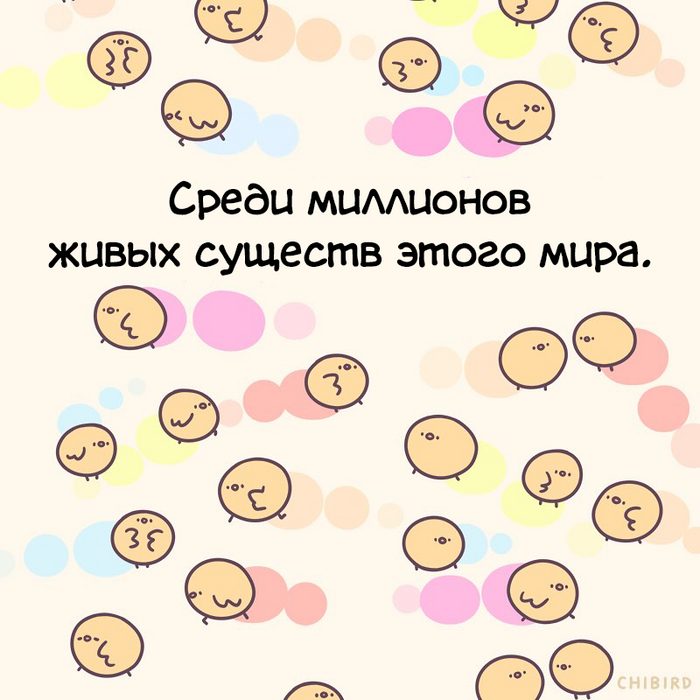  ,  , Chibird, 
