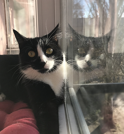 ��� �������������� ������ �� ����: ������ � �����, ���� ��� ��������.