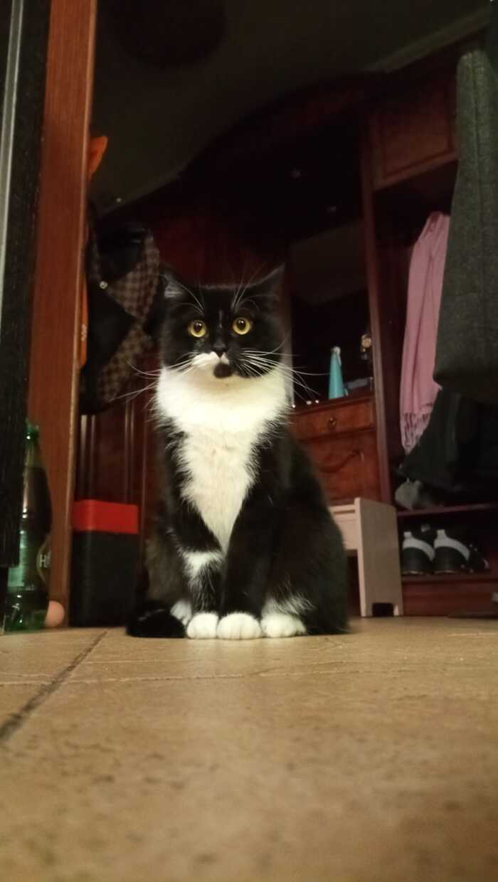  :      , ,  ,  , ,  ,  , ,  , 