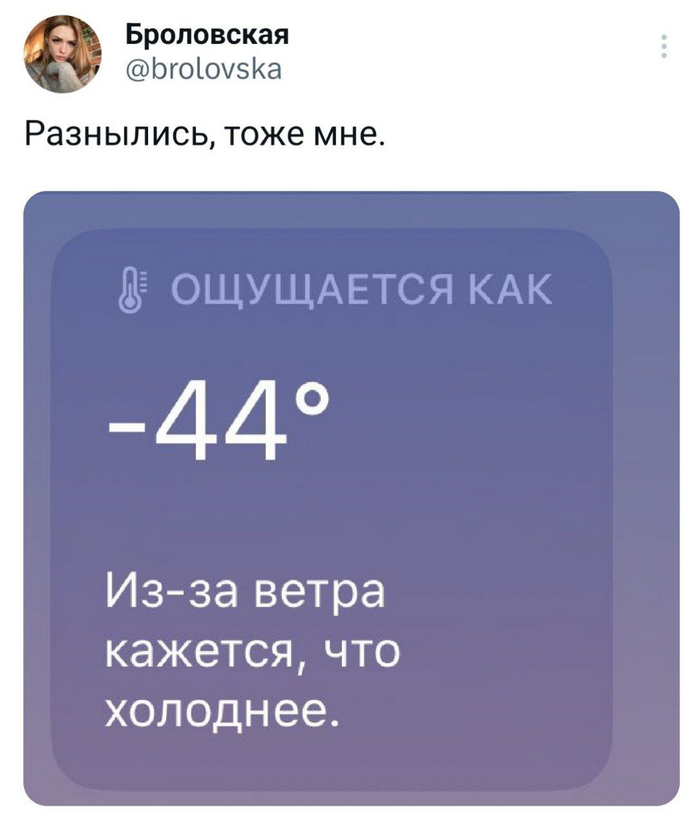 ,      , X (Twitter), ,  , Telegram ()