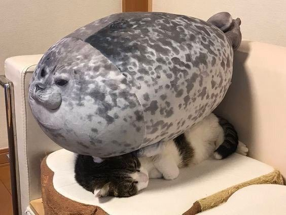 Реклама: ООО "АЛИБАБА.КОМ (РУ)" ИНН 7703380158