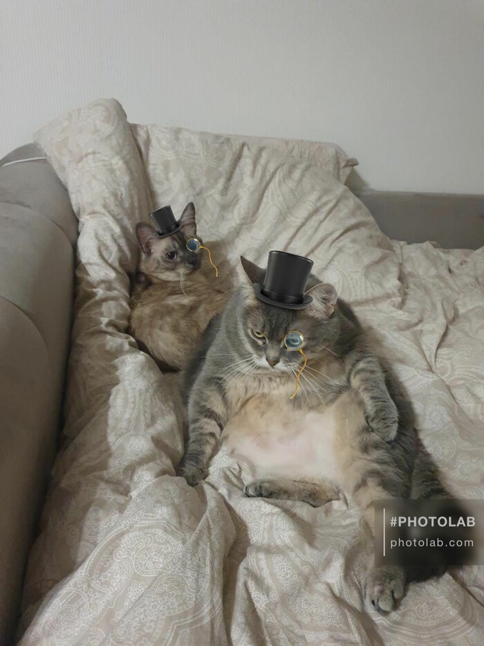   , , , 
