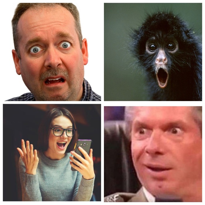   , , , , , ,  , , ,  , 