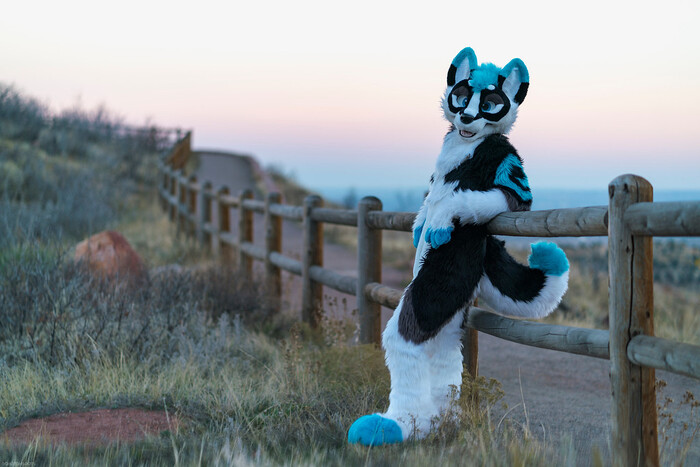   , , Furry Canine, Furry Dog,  , , , ,  ,  