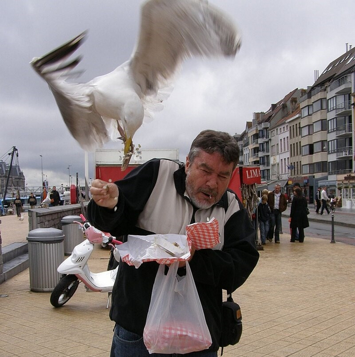 �������� ��� �����, �������!