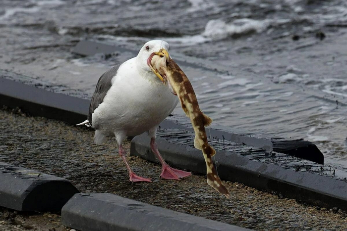 � �� ���������� ������� ��������� ������� ������ ������� ������ ����!