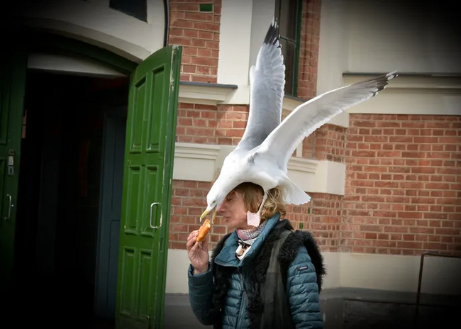 �������� ��� � ������ ��������!�.