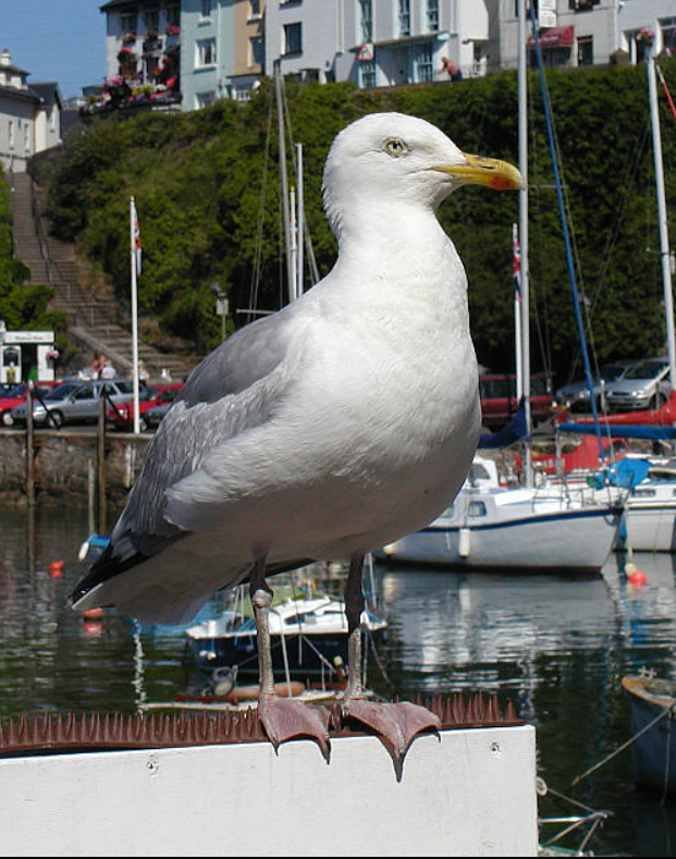 �������, ��� ������������� ���������� �����. �� ��� ����� �� �������� �����!