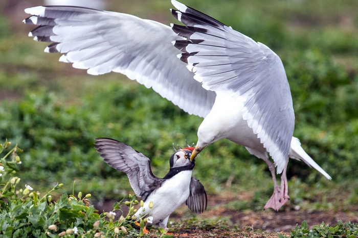 � ���������� ������ ��� � ����� ������ ���� ������...