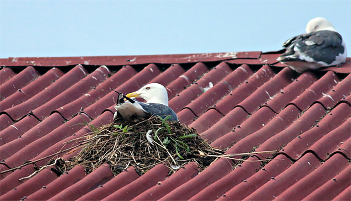 ������� ������ ��������� �����.