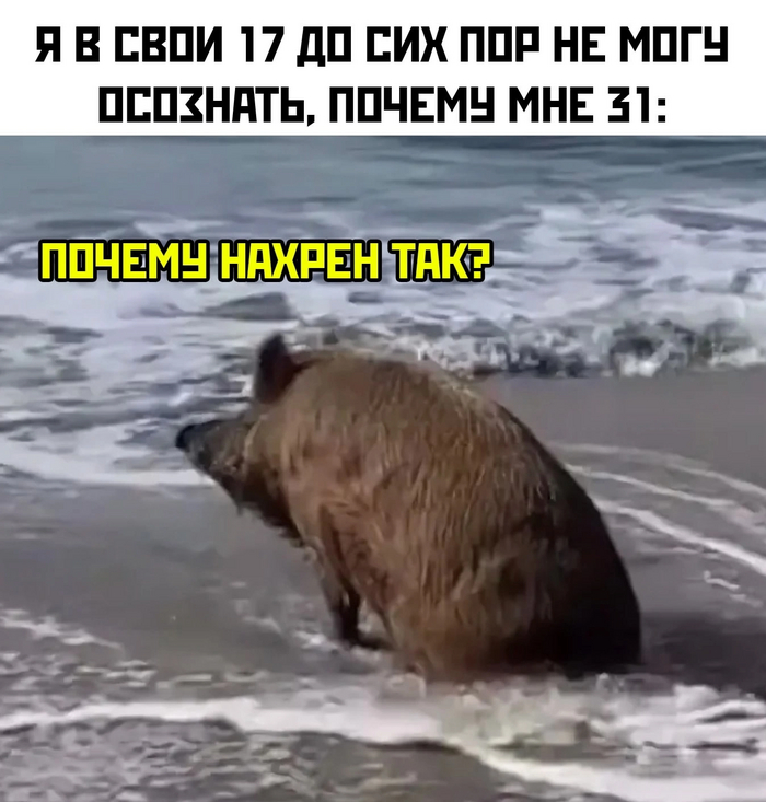 Неумолимый поток времени