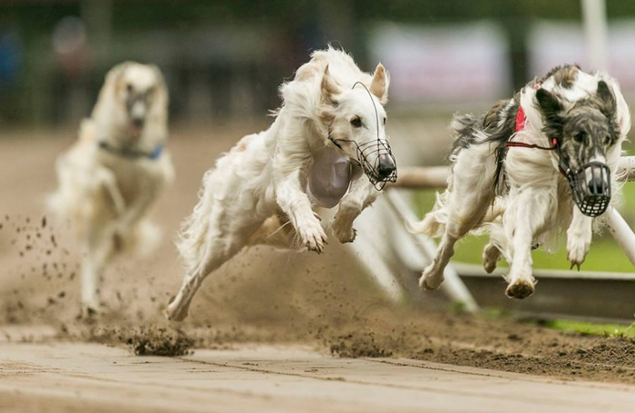      ,  .  ,       ,    .