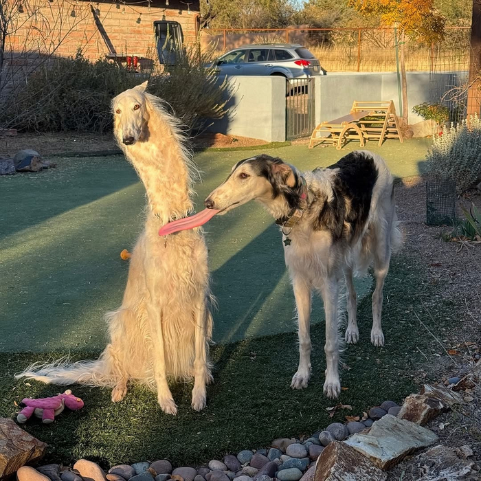 ,     ?       ! ,     ,       ?