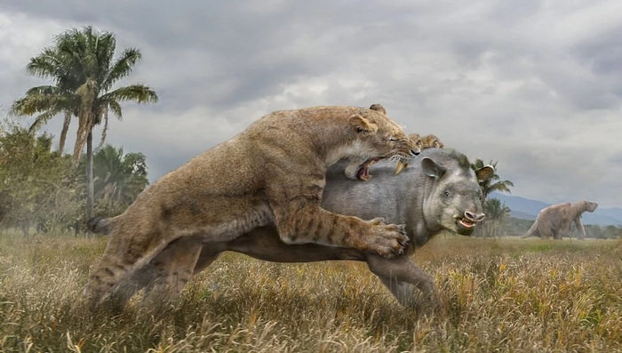 Как же красиво у вас в Южной Америке. Дай я тебя обниму!
