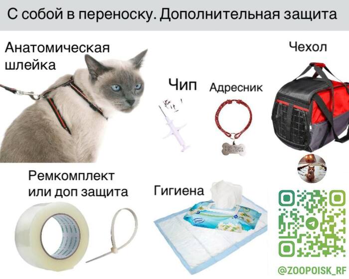         ,  , , , ,  , ,  , , , , 