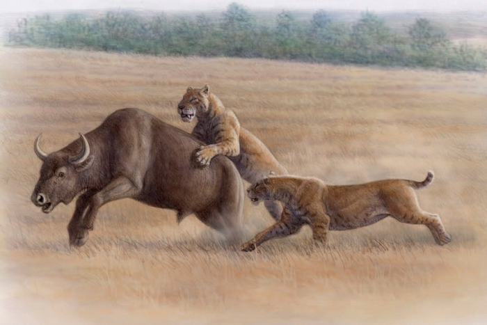 Саня, держи его, он собирается звонить своей бывшей!