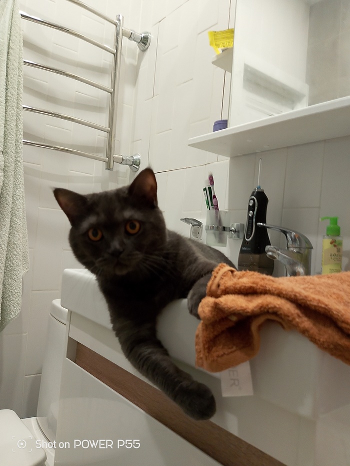     &quot;:   &quot;&quot;