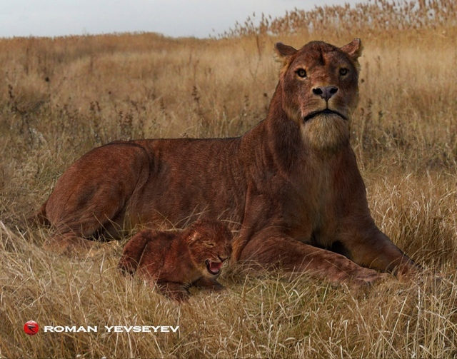 А вот мама с малышом. Почему котенок погиб, установить не удалось. Но он стал ценной находкой для ученых.
