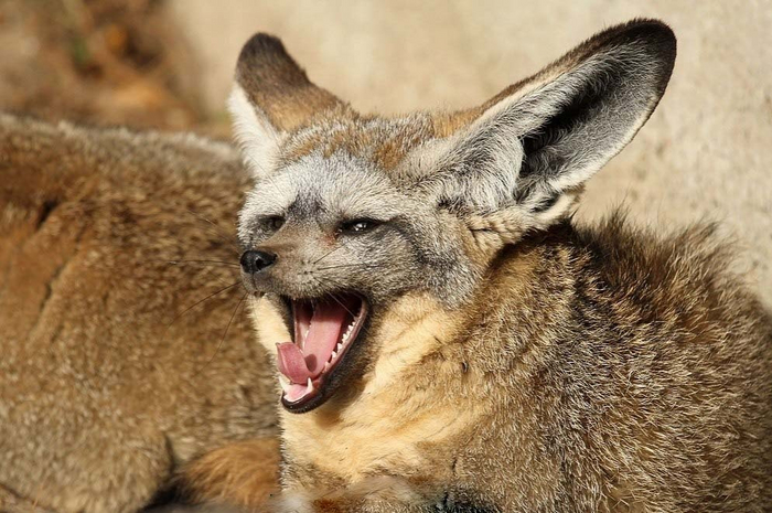 Еду класть сюдААА...