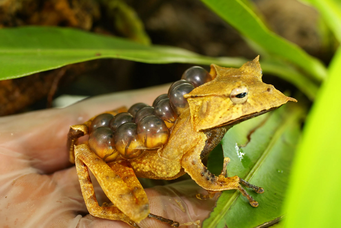         . -      ,  -    ,    .